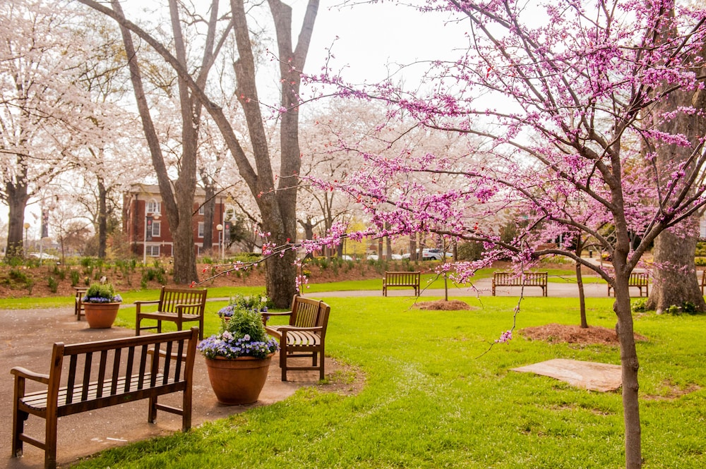 The University of Georgia Center for Continuing Education & Hotel - photo 80
