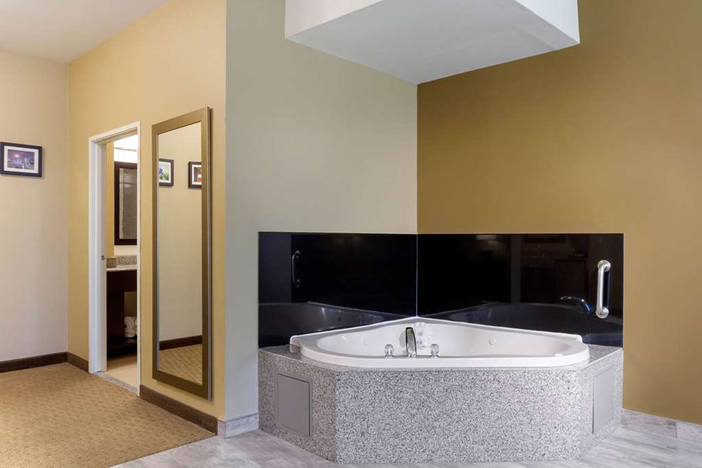 Comfort Inn & Suites Amarillo East - photo 17