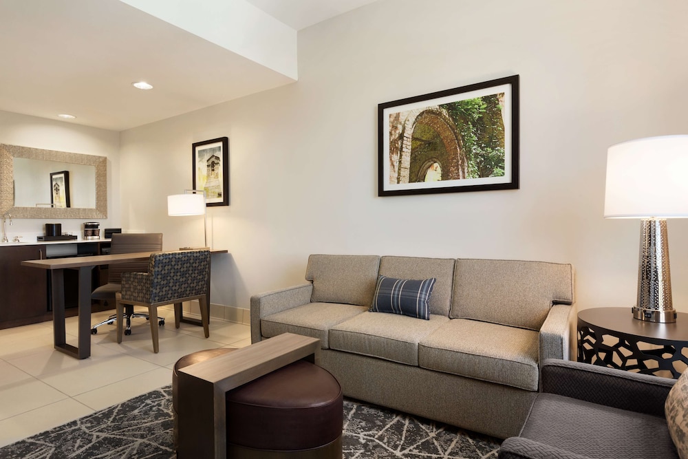 Embassy Suites by Hilton San Antonio Brooks Hotel & Spa - photo 20