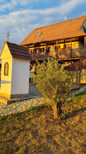 Vinarstvo U Kohuta in Skalica, Slovakia