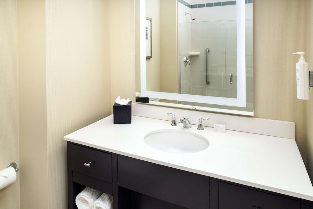 Embassy Suites by Hilton St. Louis Downtown - photo 29
