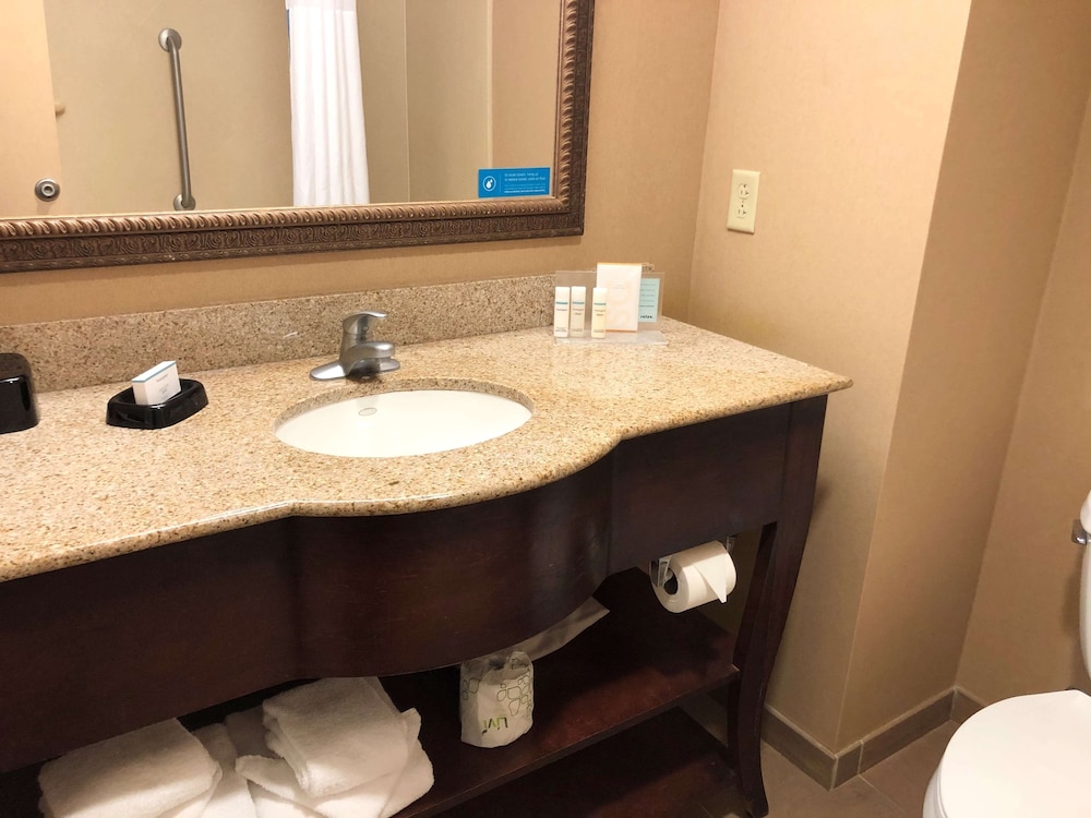 Hampton Inn & Suites Norfolk Airport - photo 15