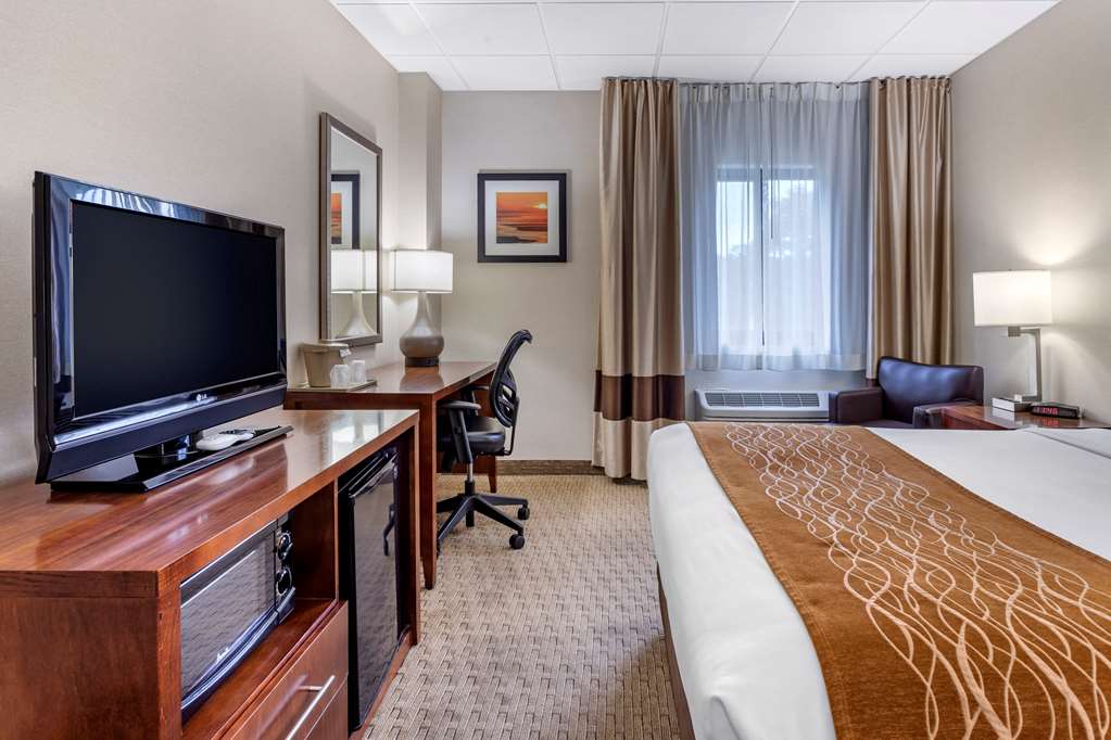 Comfort Inn Syosset Long Island - photo 23