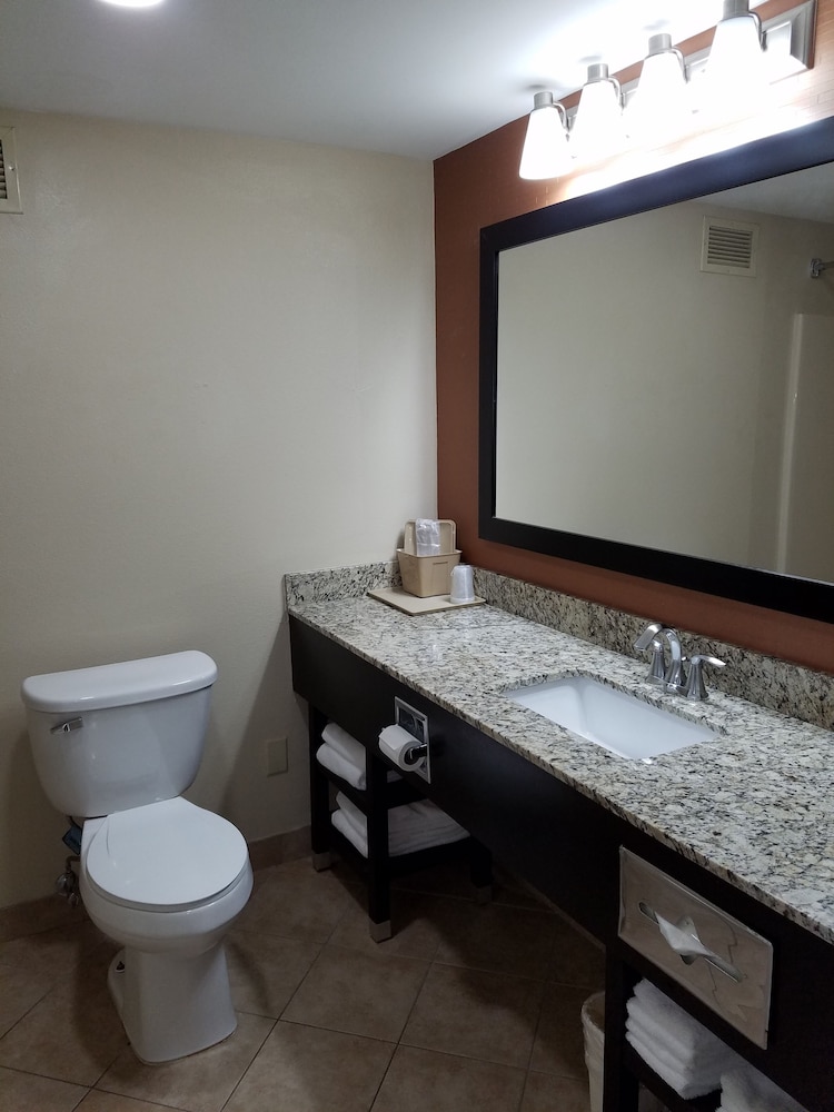 Comfort Inn North of Asheville - photo 45