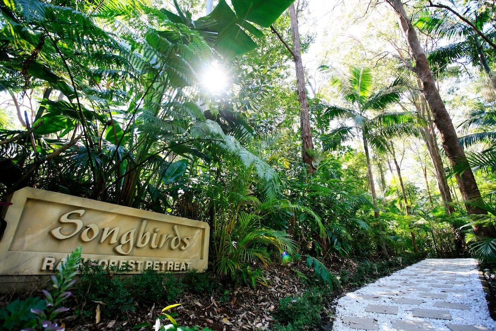 Songbirds Rainforest Retreat — 5-Star Luxury Hotel in Tamborine Mountain, Australia