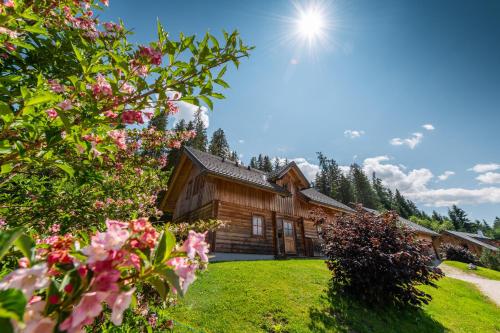 Chalet Dachsteinblick — Pruggern — photo 3