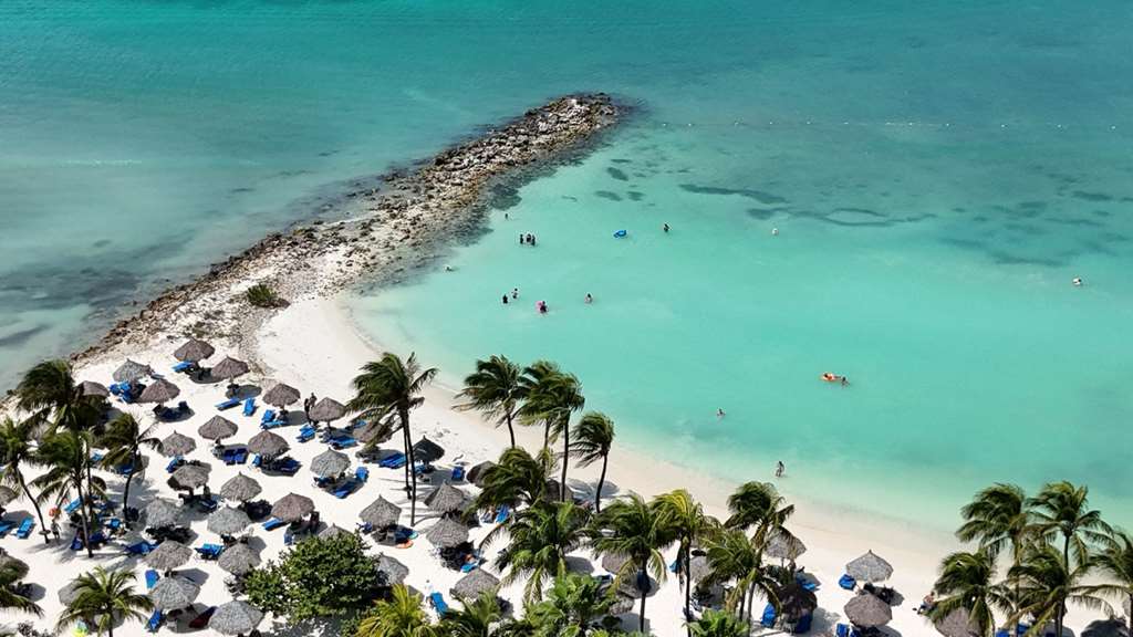 Divi Aruba Phoenix Beach Resort — Oranjestad — photo 2