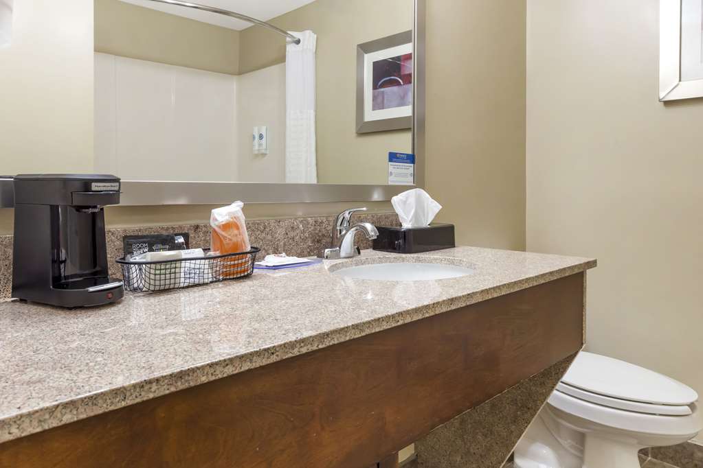 Comfort Suites Inn at Ridgewood Farm - photo 10