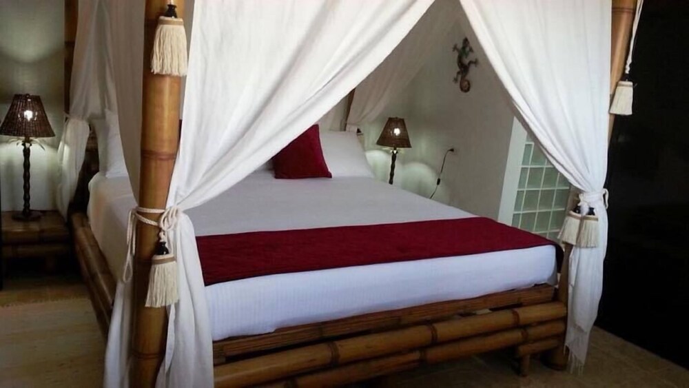 Caribbean Cozy Cove — Paradera — photo 3