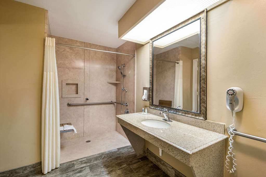 Quality Inn & Suites Garland East Dallas - photo 21