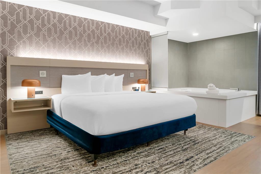 Radisson Plaza Hotel at Kalamazoo Center - photo 127