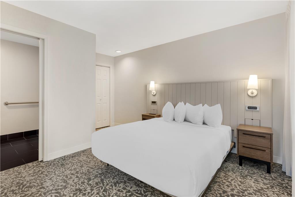 Sonesta ES Suites Dulles Airport - photo 42