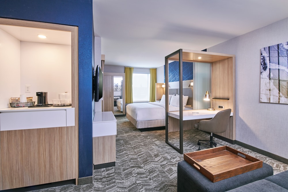 SpringHill Suites by Marriott Detroit Dearborn - photo 6