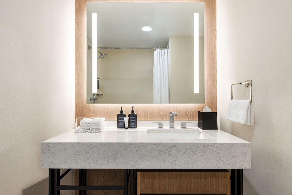Sheraton Suites Chicago O'Hare - photo 35