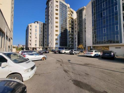 The Comfortable and Beautiful Apt in Tbilisi