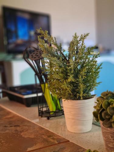 Uitzicht Stay Durbanville Pet Friendly
