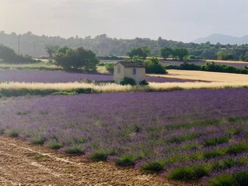 Location De Vacances Rians Haut Var — Rians
