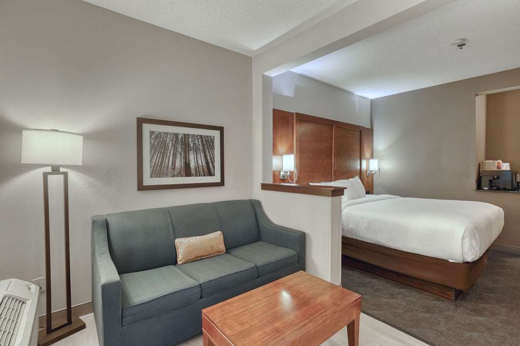 Comfort Suites Appleton Airport - photo 22
