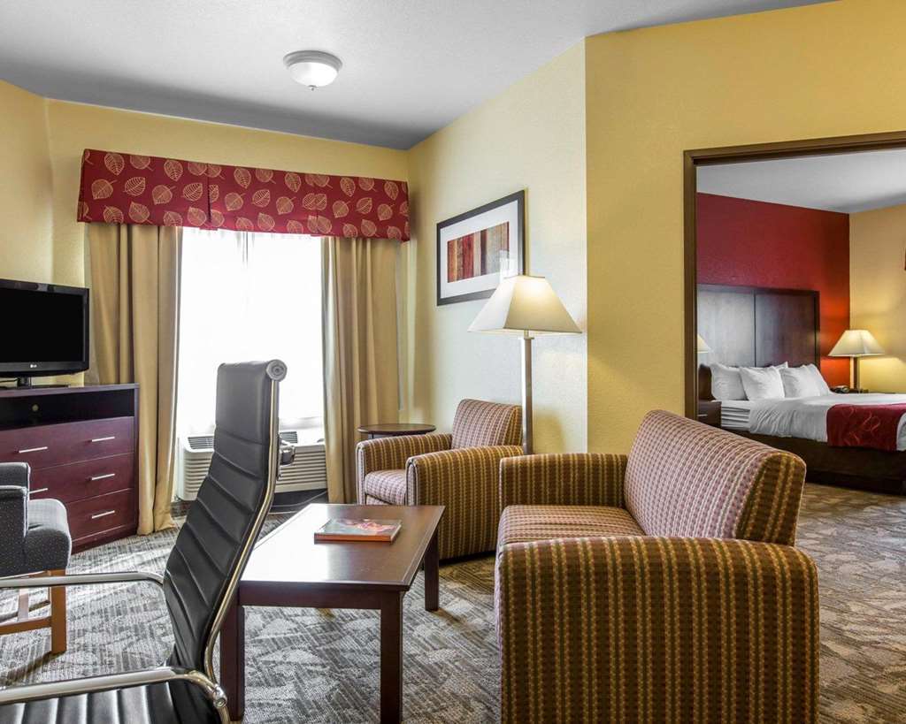Comfort Suites Palm Desert I 10 - photo 8