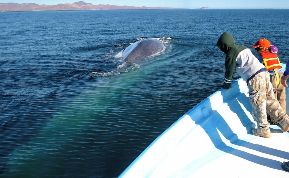 Boating