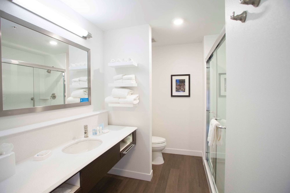Hampton Inn & Suites Downtown St. Paul - photo 42