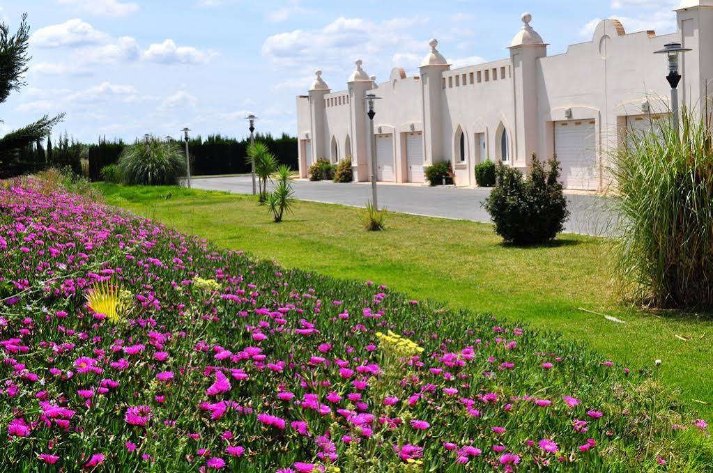 Hotel Alkalat - carbon neutral hotel in Alcala De Guadaira