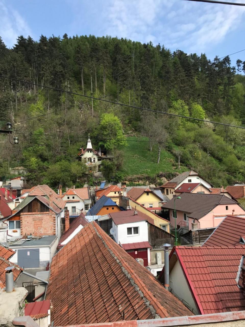 Casa Mountain view — 4-Star Luxury Hotel in Brasov, Romania