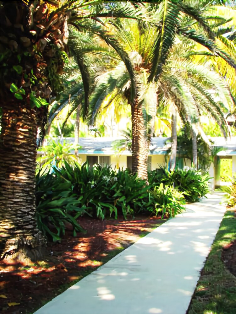 Silver Sands Beach Resort - photo 12