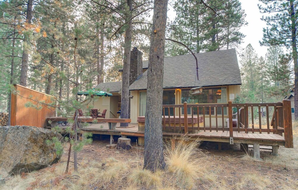Pine Needle Lane 7 - photo 37