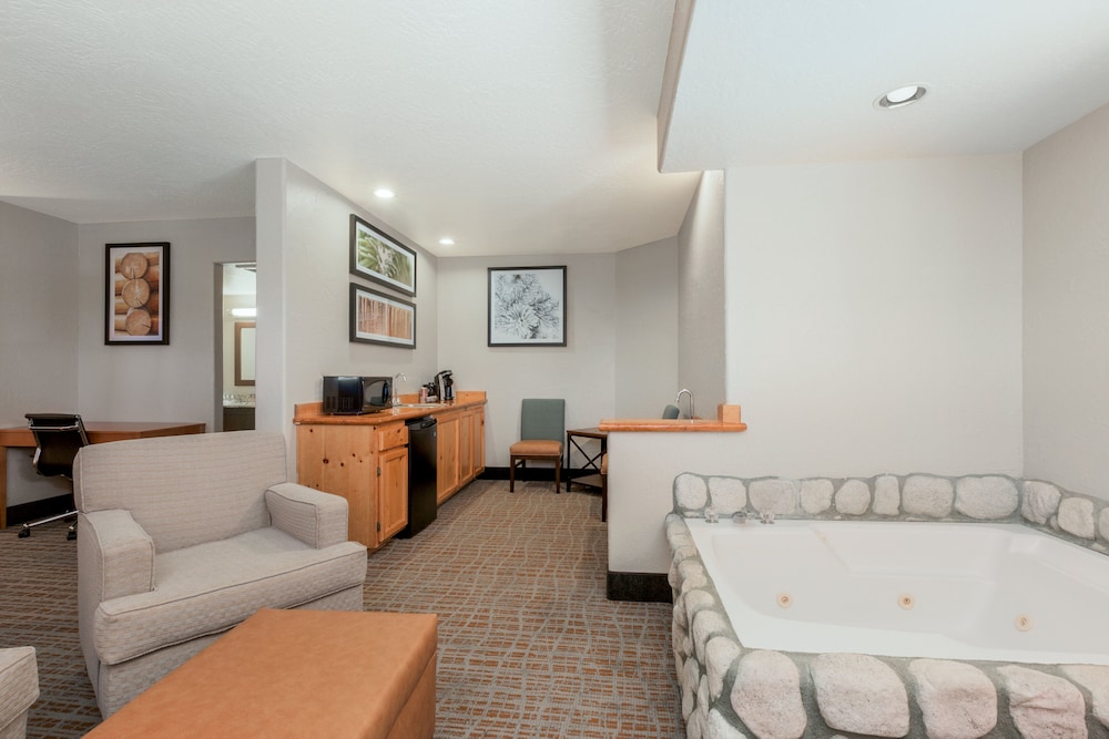 Holiday Inn Resort The Lodge At Big Bear Lake by IHG - photo 16