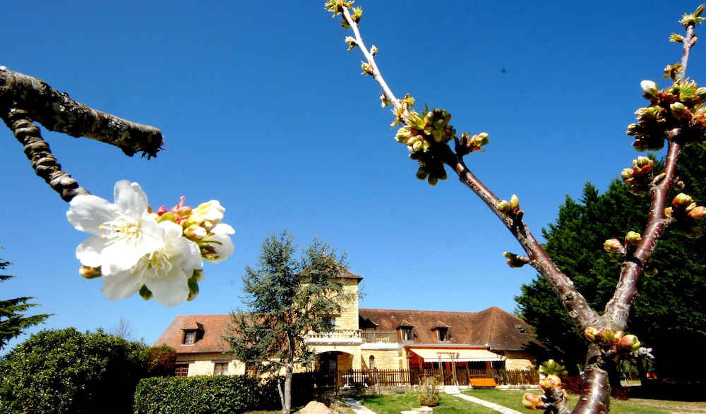 Logis Hôtel Les Collines - last minute hotel in Cublac