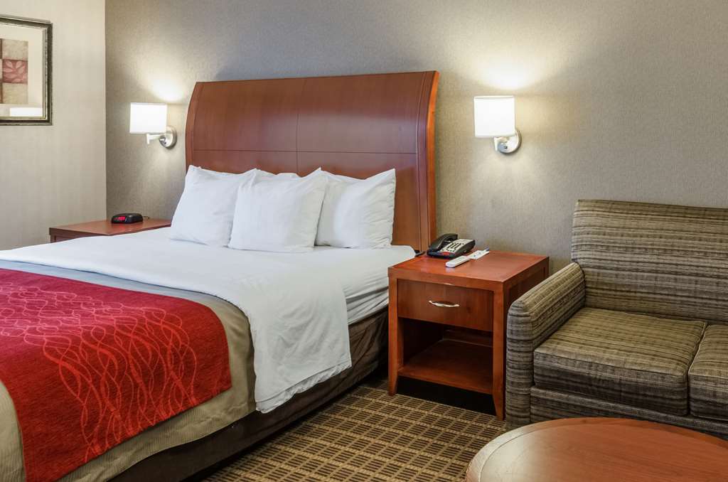 Comfort Inn & Suites West Springfield - photo 7