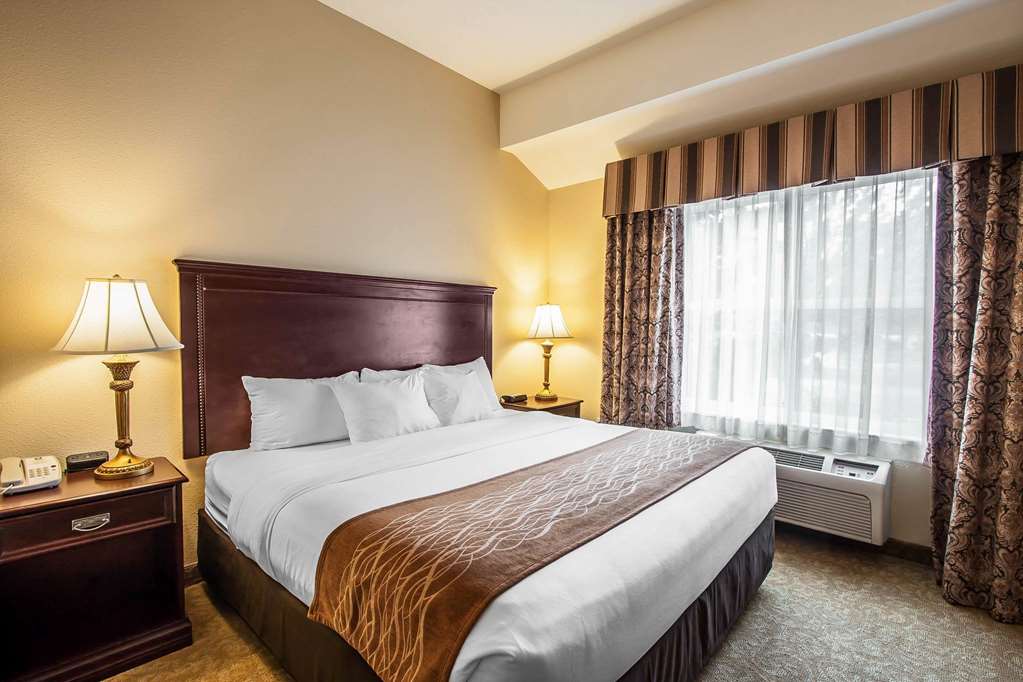 Comfort Inn & Suites McMinnville Wine Country - photo 19