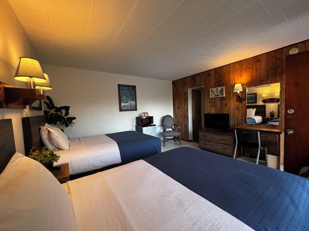 Nocturne Motel - photo 4