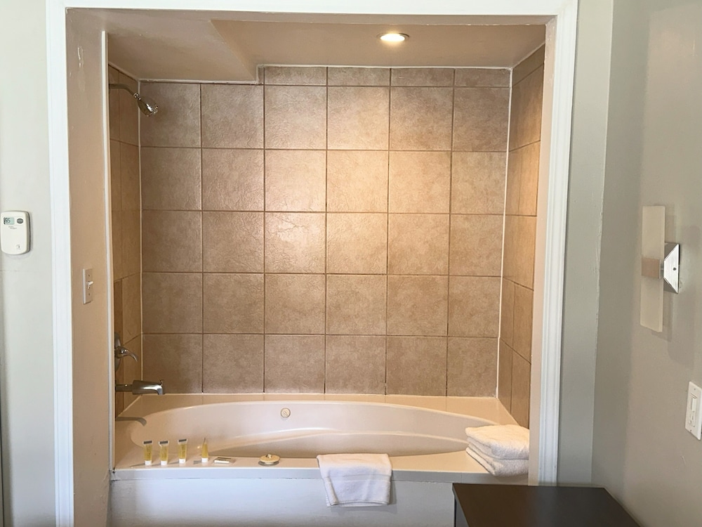Alpine Inn and Spa - photo 26