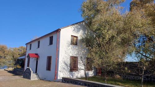 Mon Ami Sevan — Tsovazard — photo 2