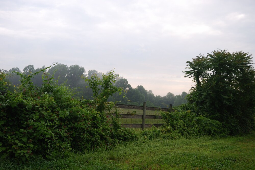 The Columbia Inn at Peralynna Manor - photo 46