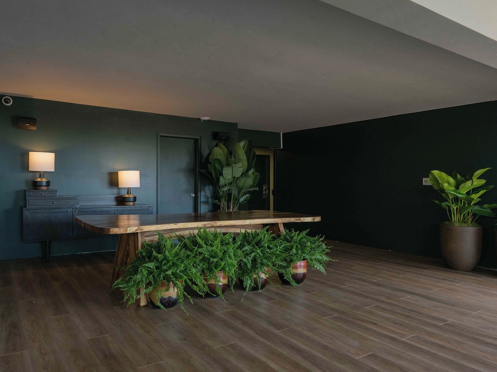 Pacific 19 Kona - photo 5