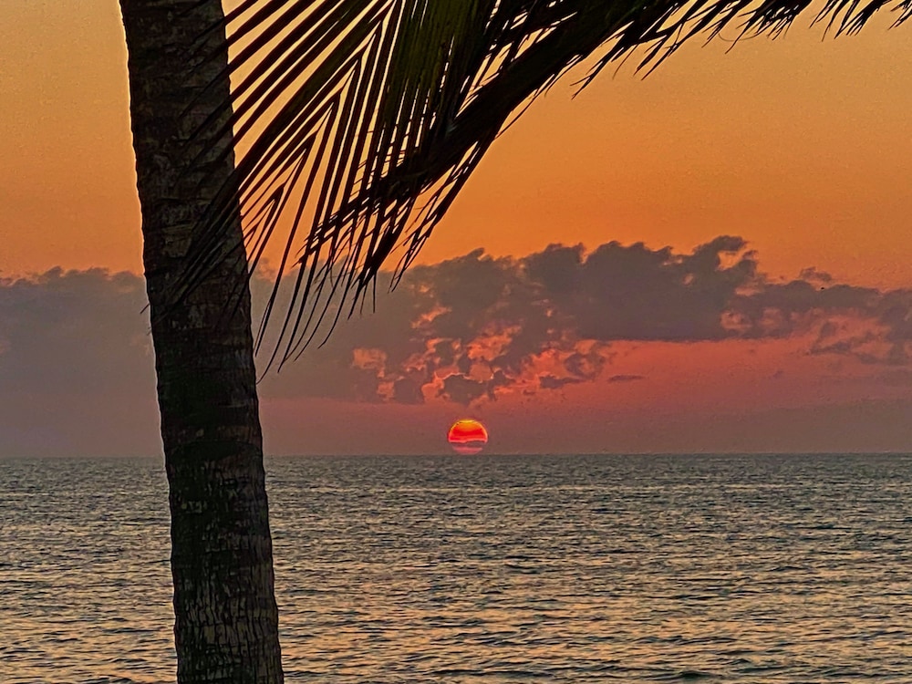 Manasota Key Resort - photo 88
