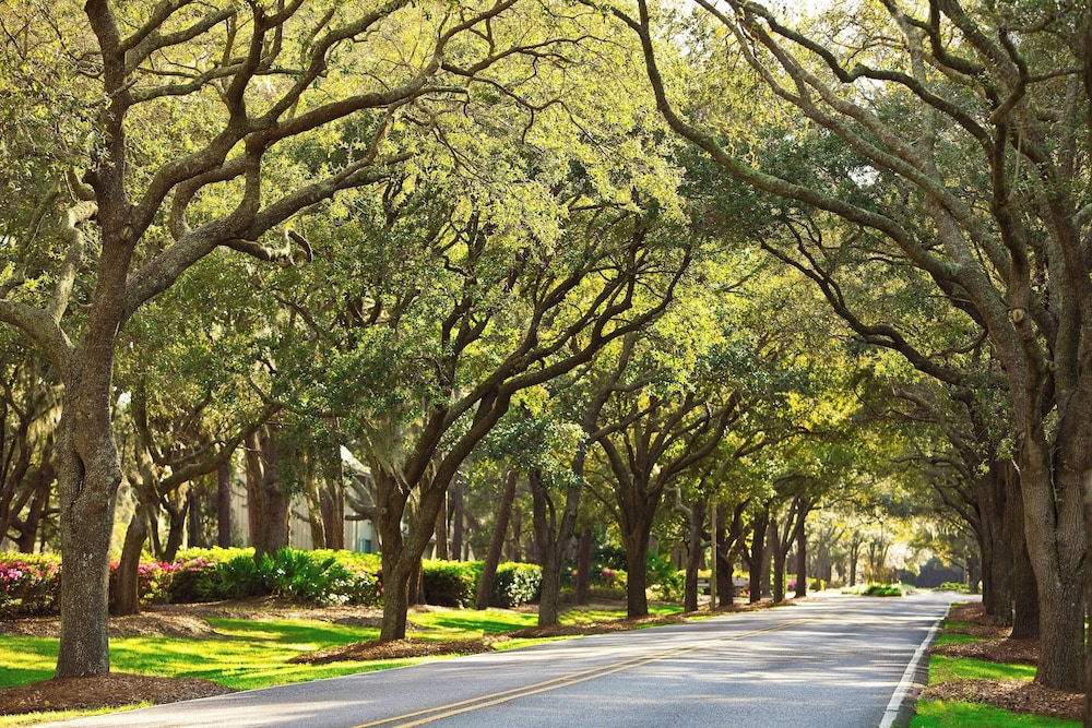 The Westin Hilton Head Island Resort & Spa - photo 126