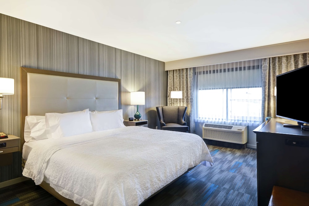 Hampton Inn & Suites Los Angeles Burbank Airport - photo 23