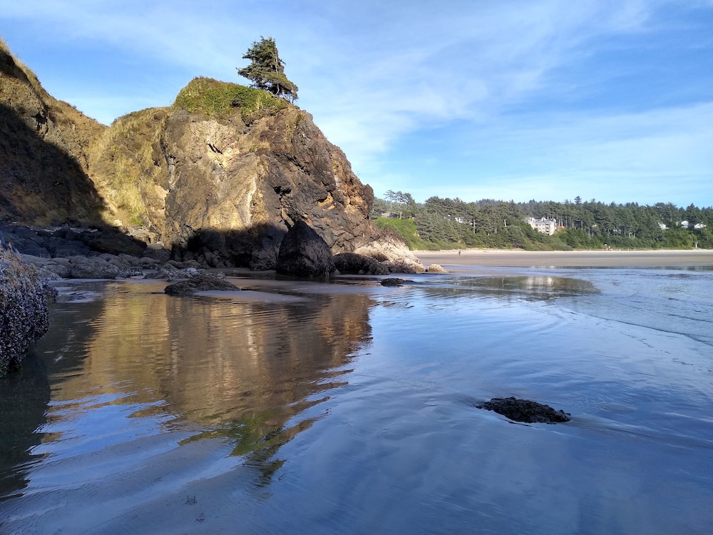 Starfish Point - photo 34