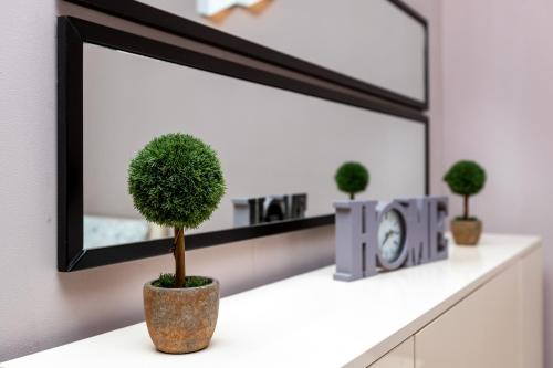 Apartment Magnolia Rustaveli 62