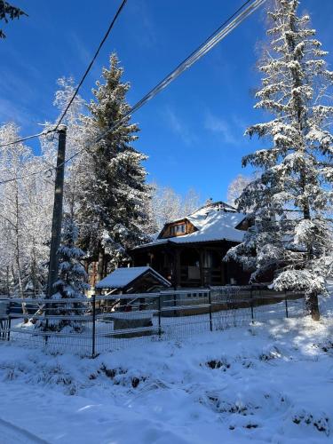 Cabana din padure si casutele din copac Belis in Cluj-Napoca, Romania
