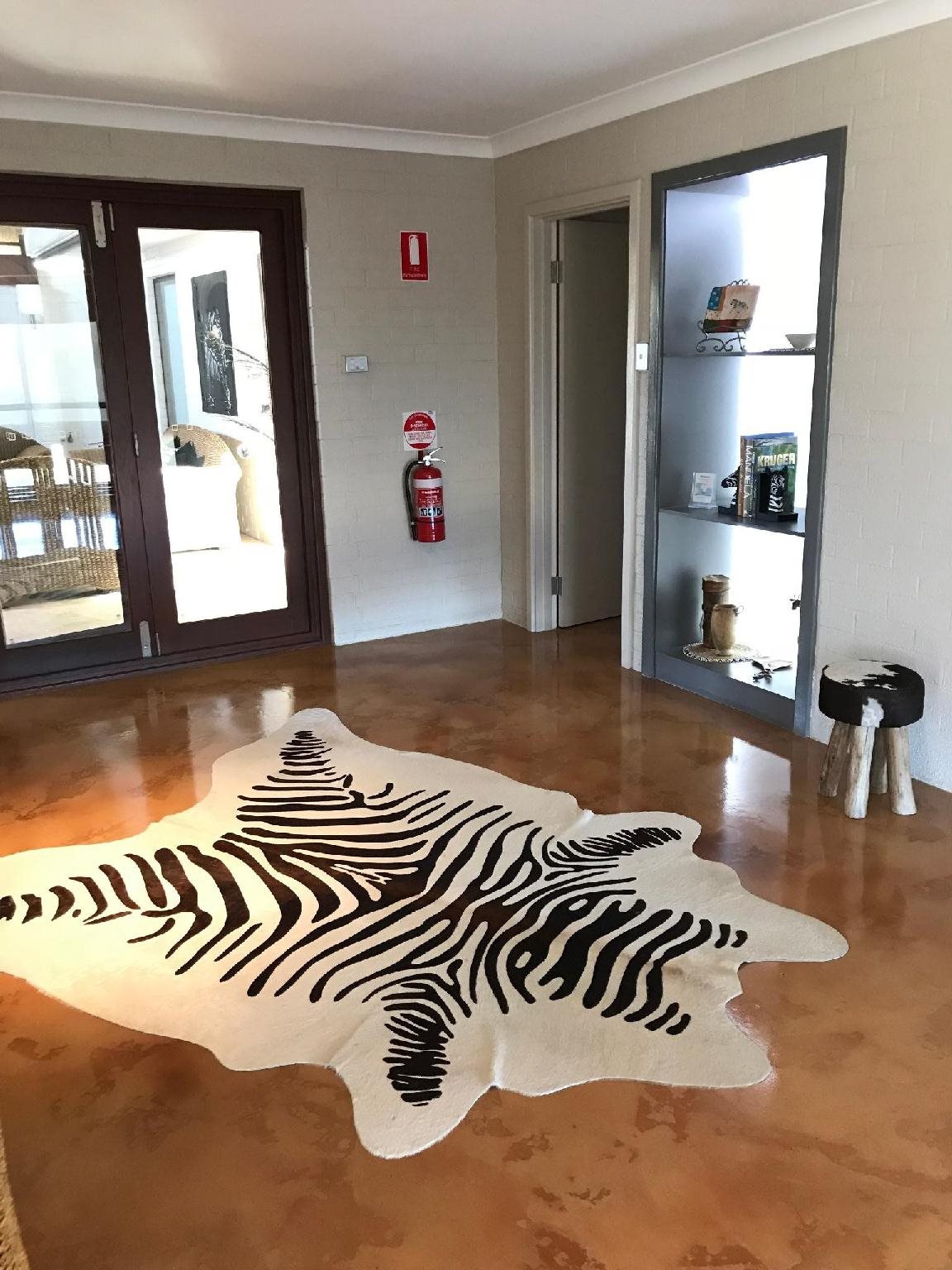 Zebras — Geraldton — photo 4