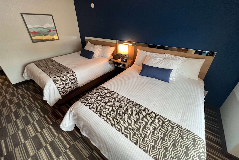 Microtel Inn & Suites by Wyndham Woodland Park - photo 13