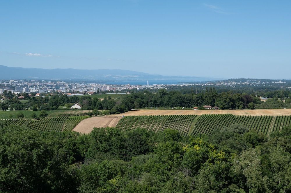 Capucine Cosy Appart Hotel 3 Etoiles — hotel in Archamps