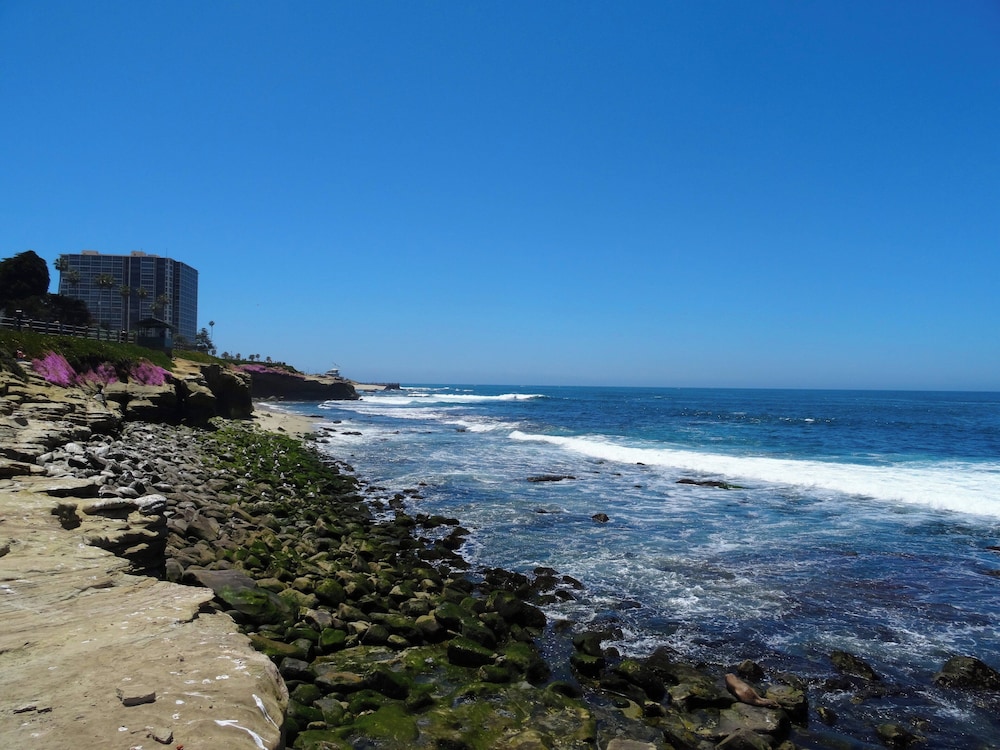 Crowne Plaza San Diego Mission Valley - photo 66
