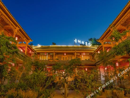 Ancient Forest Leisure Inn - last minute hotel in Dali