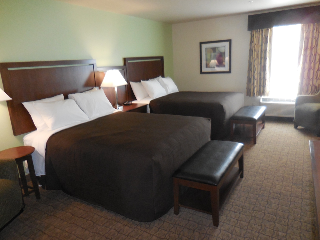 Ledgestone Suites Hotel Elko - photo 6